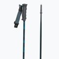 Lyžařské hole Fischer RC4 Noize grey / blue 3
