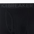 Pánské termoaktivní legíny Icebreaker 200 Oasis W/Fly černé IB1043700011 9
