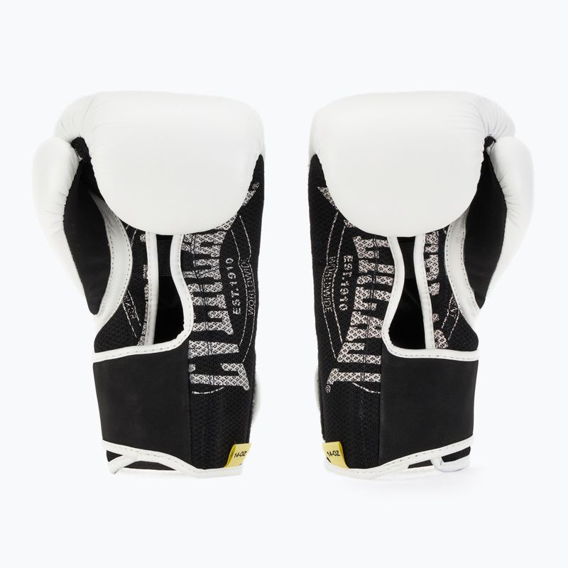 Boxerské rukavice Everlast 1910 Classic white 2