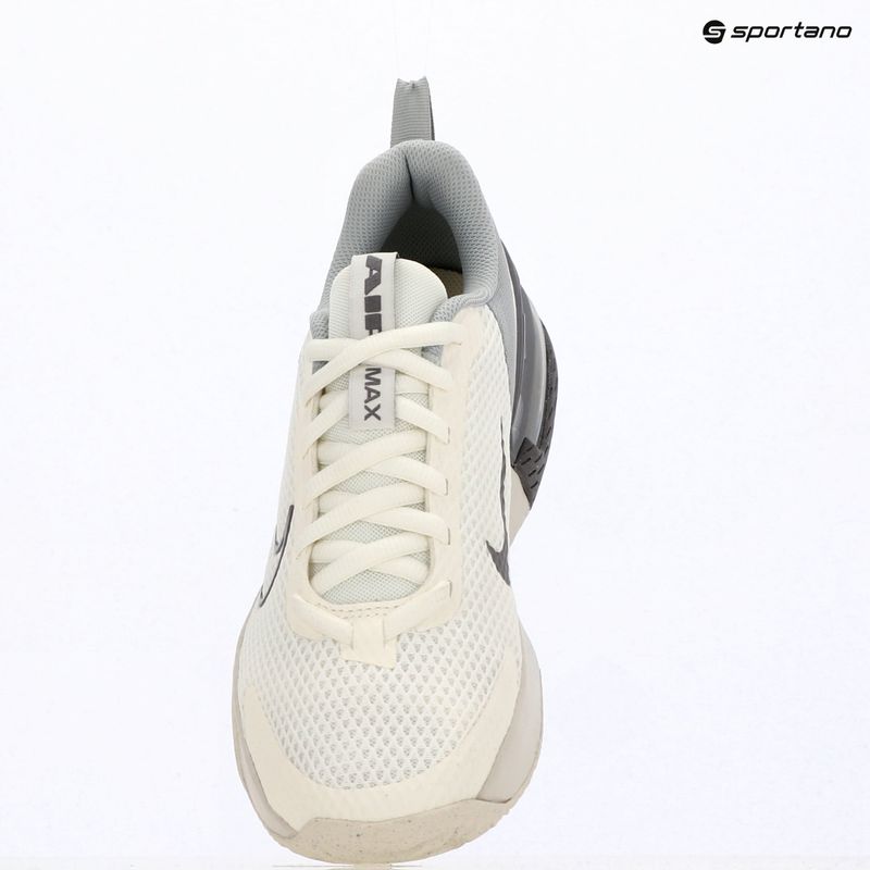 Pánské tréningové boty Nike Air Max Alpha Trainer 6 sail/light smoke grey/phantom/pencil point 12