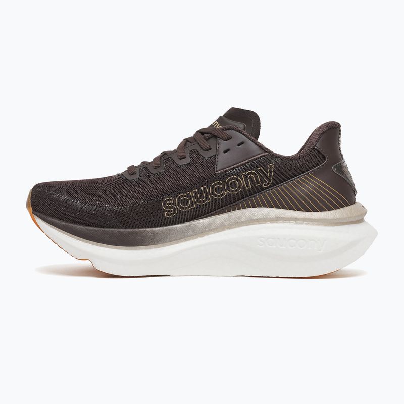 Dámské běžecké boty Saucony Endorphin Azura torte 9