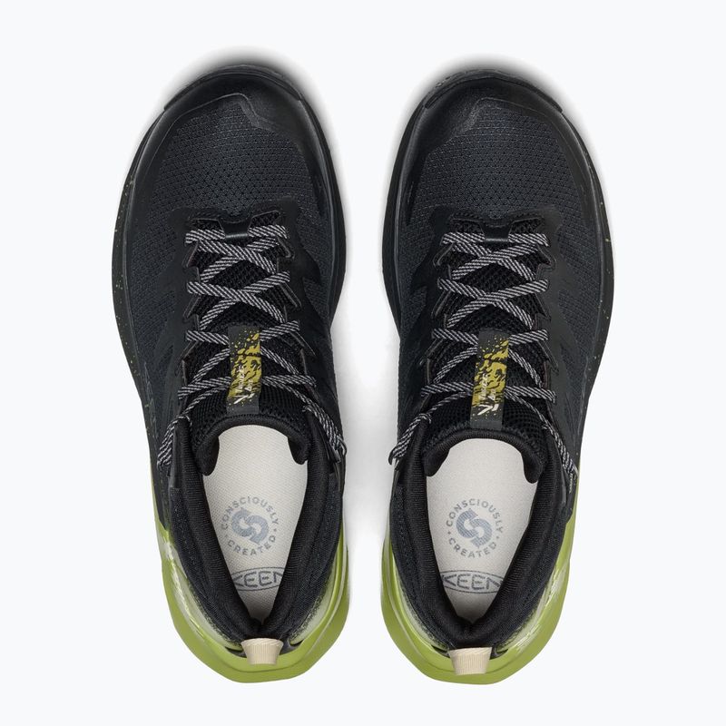 Pánské trekové boty KEEN Targhee Apex Mid Wp black/golden cypress 12
