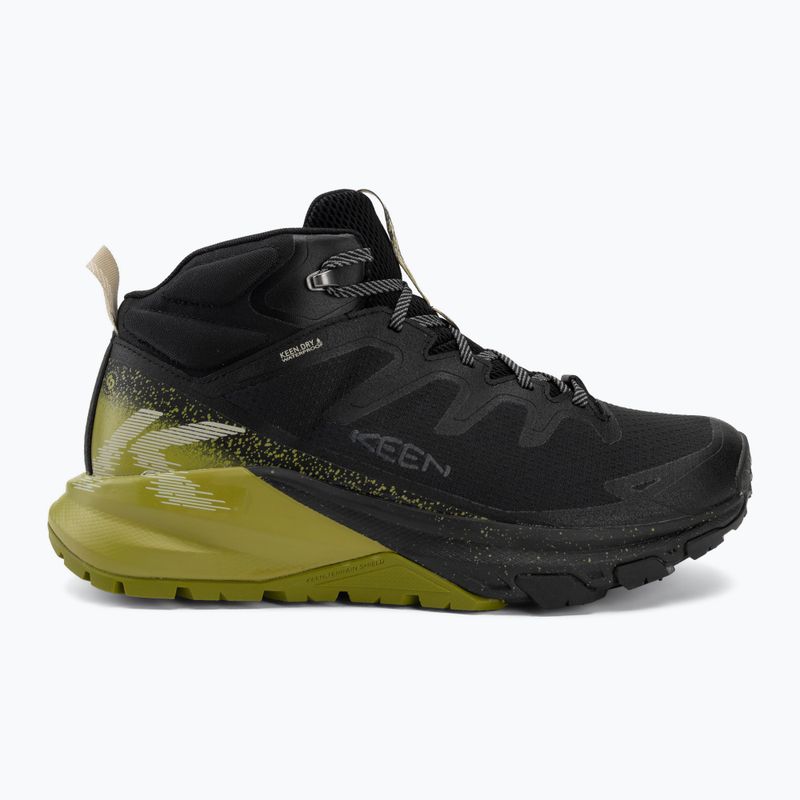 Pánské trekové boty KEEN Targhee Apex Mid Wp black/golden cypress 2