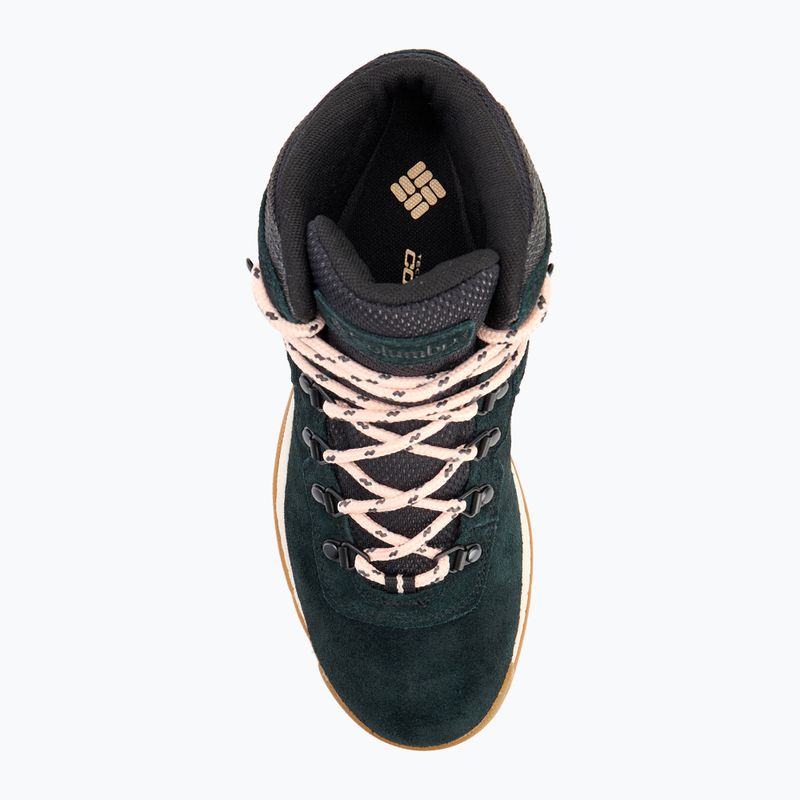 Dámské trekové boty Columbia Newton Ridge Plus WP Amped black/ blush rose 5