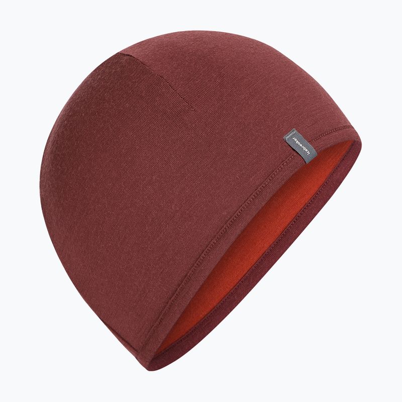 Čepice icebreaker Merino 200 Oasis Reversible Beanie agate/port 3