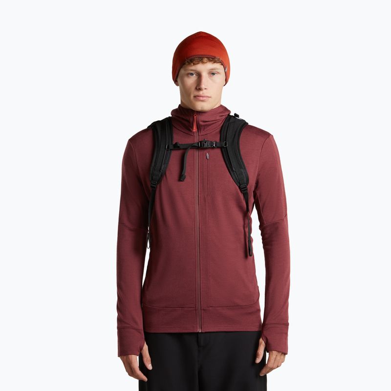 Čepice icebreaker Merino 200 Oasis Reversible Beanie agate/port 6