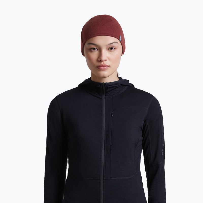 Čepice icebreaker Merino 200 Oasis Reversible Beanie agate/port 9
