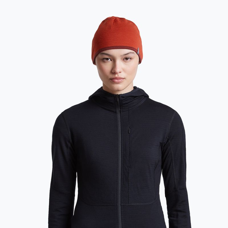 Čepice icebreaker Merino 200 Oasis Reversible Beanie agate/port 10