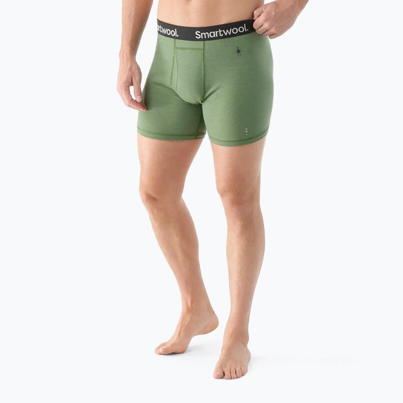 Pánské termo boxerky Smartwool Merino Boxer Boxed fern green 2