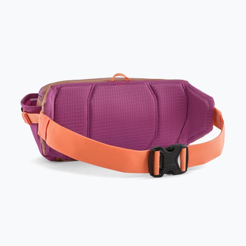 Ledvinka Patagonia Black Hole Waist Pack 5 l peach sherbet 2