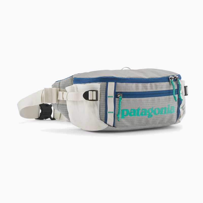 Ledvinka Patagonia Black Hole Waist Pack 5 l birch white