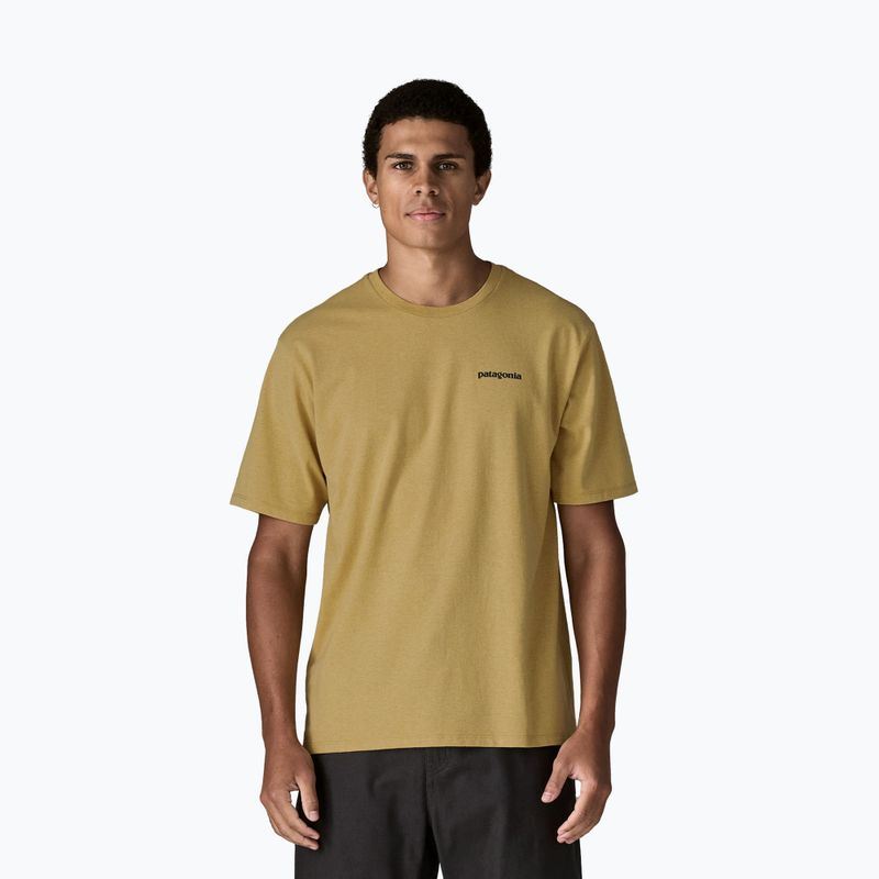 Pánské tričko Patagonia Flying Fish Responsibili Tee limestone yellow/heritage fitz