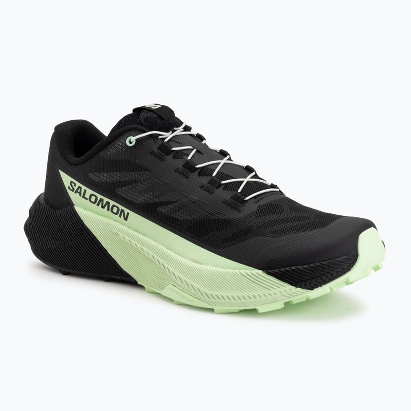 Pánské běžecké boty Salomon Pulsar black/black/patina green