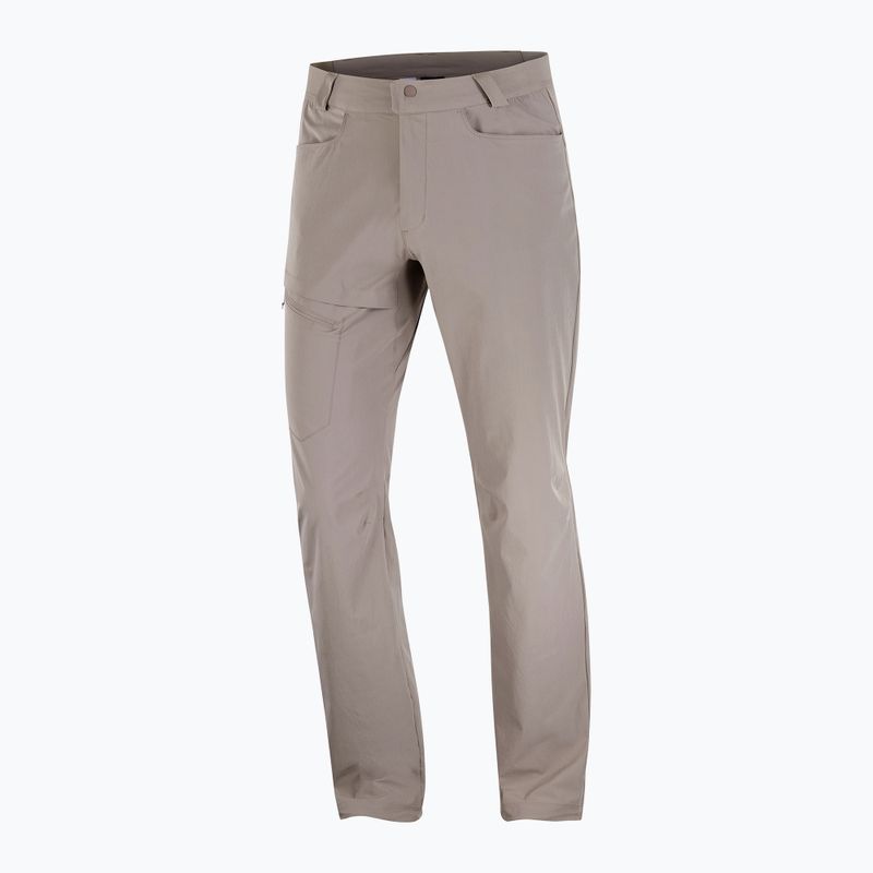 Pánské trekingové kalhoty Salomon Wayfarer iron 6