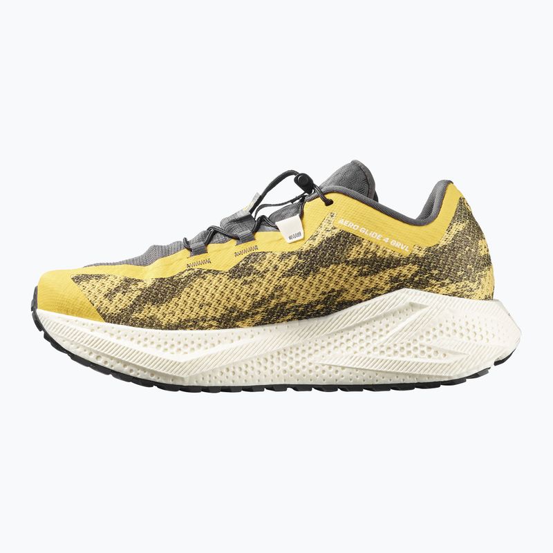 Pánské běžecké boty Salomon Aero Glide 4 GRVL beach ball/asphalt/vanilla ice 2