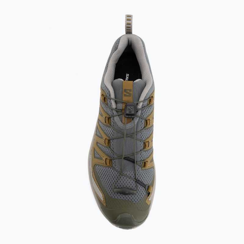 Pánské běžecké boty Salomon XA Pro 3D V9 sedona sage/plantation/paloma 5
