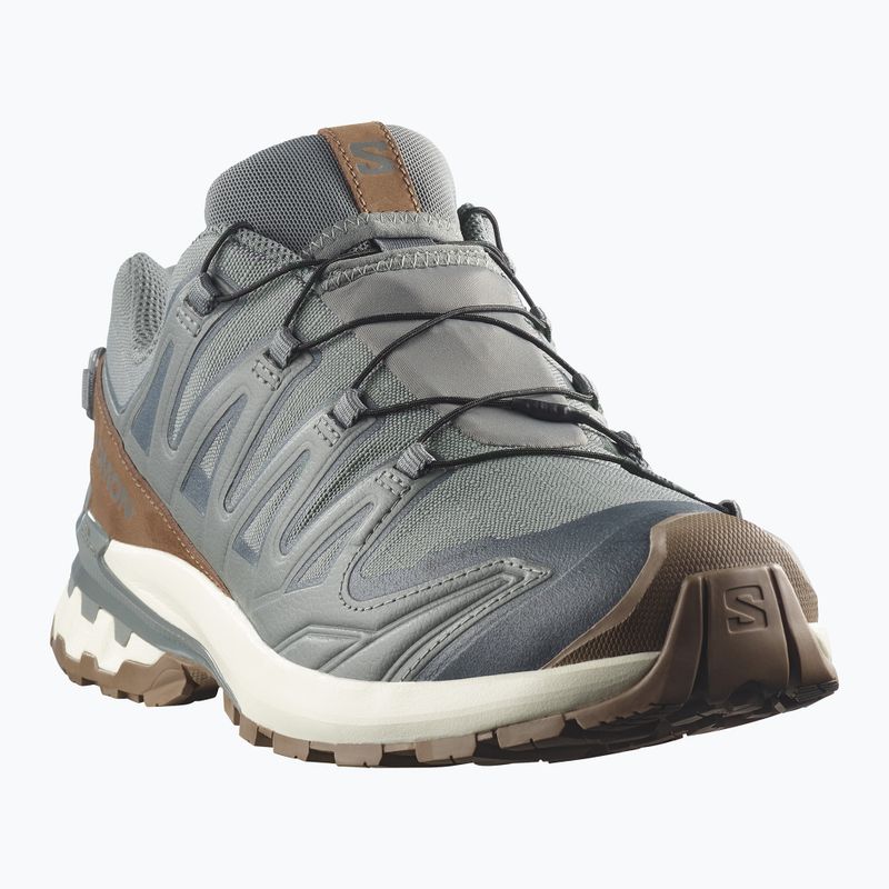 Pánské běžecké boty Salomon XA Pro 3D V9 GTX Lifelong sedona sage/coyote brown 2