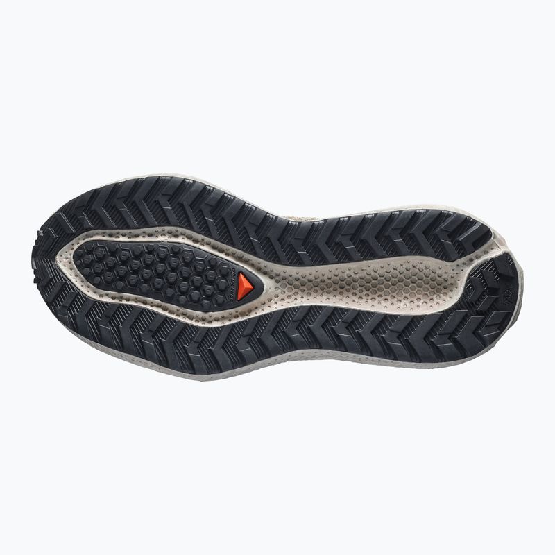 Dámské běžecké boty Salomon Aero Glide 4 GRVL tapioca/desert tan 11