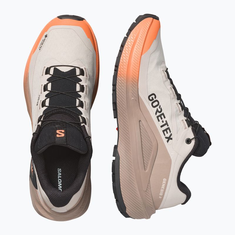 Dámské běžecké boty Salomon Genesis 2 GTX rainy day/desert tan 10