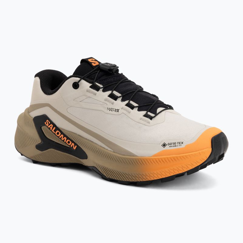 Dámské běžecké boty Salomon Genesis 2 GTX rainy day/desert tan