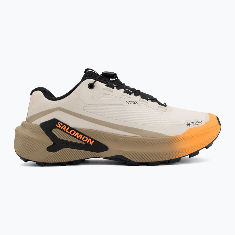 Dámské běžecké boty Salomon Genesis 2 GTX rainy day/desert tan 2