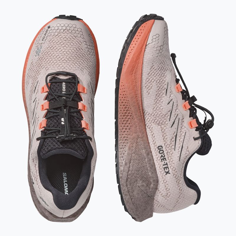 Dámské běžecké boty Salomon Aero Blaze 4 GRVL GTX rainy day/black 10