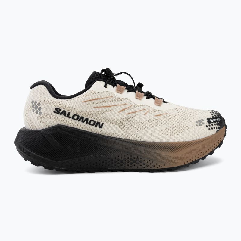 Pánské běžecké boty Salomon Aero Blaze 4 GRVL GTX vanilla ice/black 2
