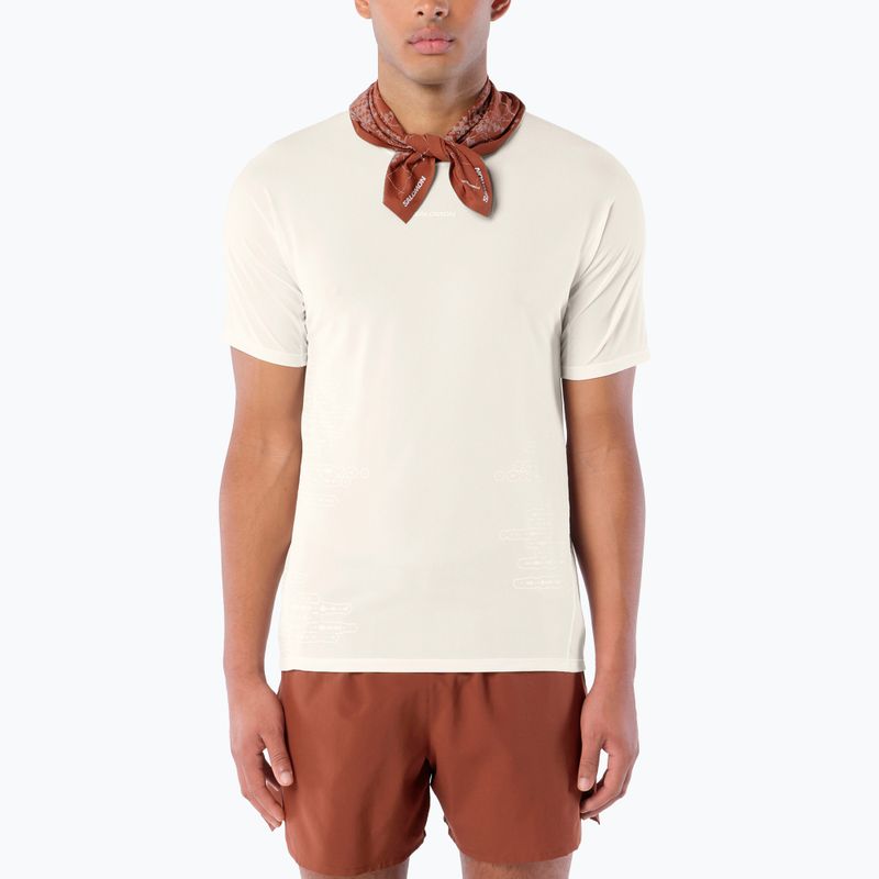 Pánské běžecké tričko Salomon Sense Aero GFX Tee SS whisper white/raind day/bright white