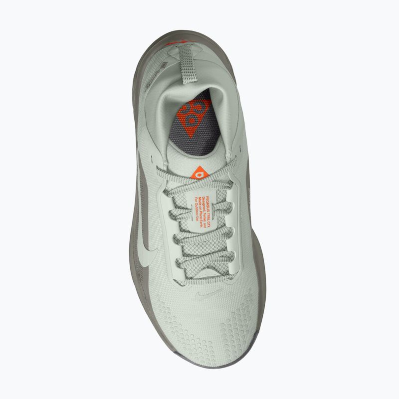 Dámské běžecké boty Nike ACG Pegasus Trail GORE-TEX Light Silver/Light Army/Light Silver 11