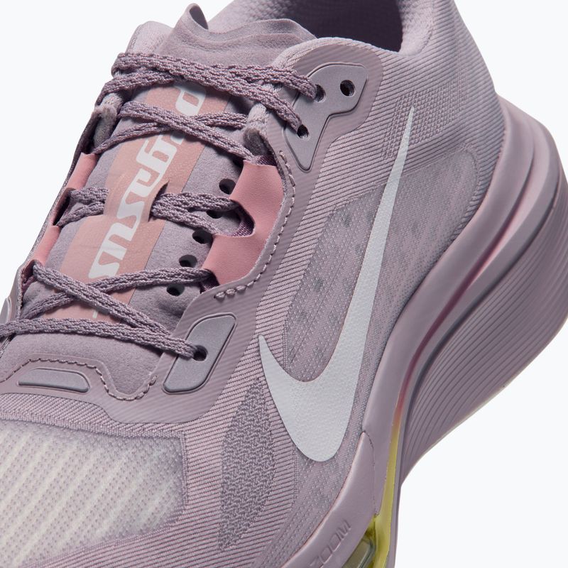 Dámské běžecké boty Nike Pegasus Plus 2 silver lilac/particle rose/fennel/sail 5