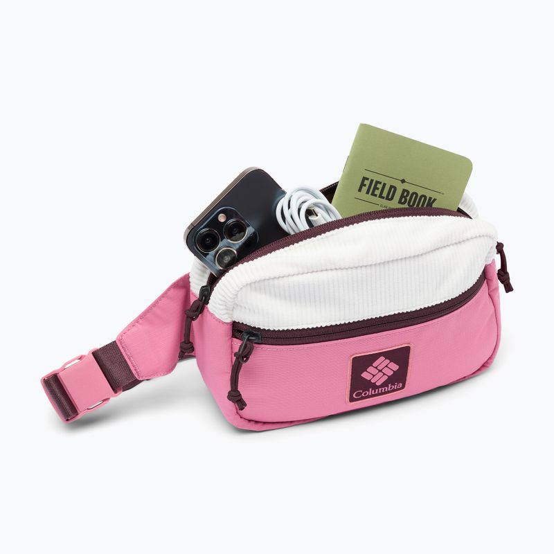 Ledvinka Columbia Trail Traveler Hip sea salt/rosette/moonvista 4