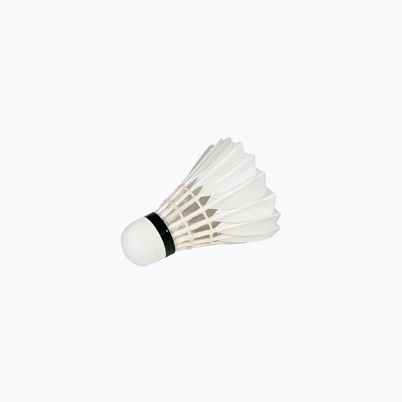 Badmintnové šipky VICTOR Champion No 1 12pcs 3