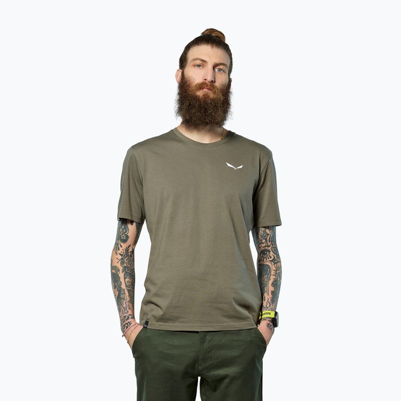 Pánské tričko Salewa Eagle Vocab faded green