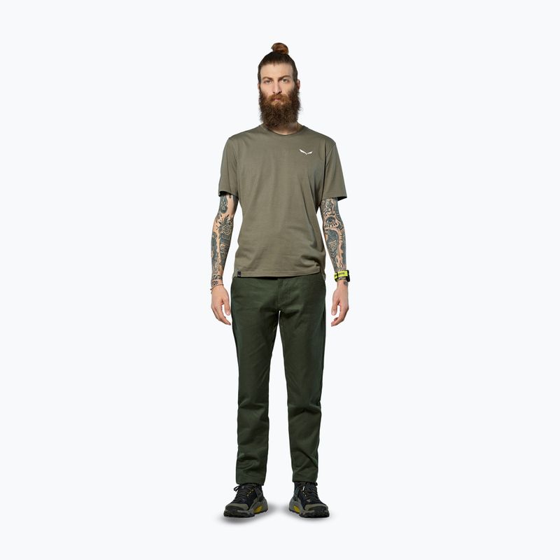 Pánské tričko Salewa Eagle Vocab faded green 2