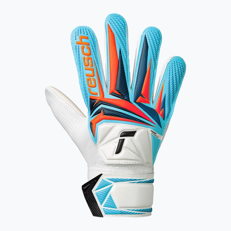 Dětské brankářské rukavice Reusch Attrakt Starter Solid Junior white/light blue 2