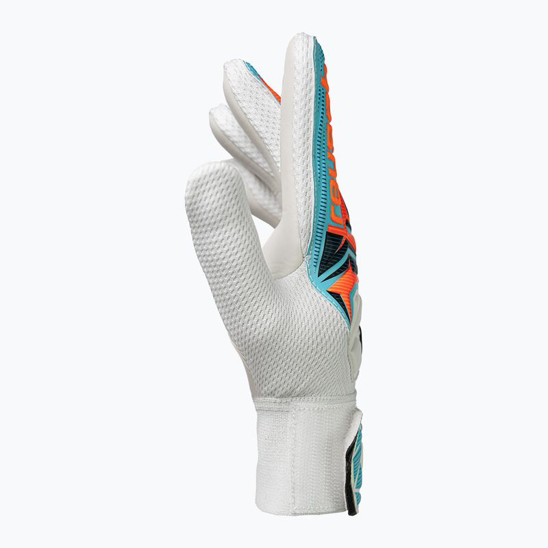 Dětské brankářské rukavice Reusch Attrakt Starter Solid Junior white/light blue 4