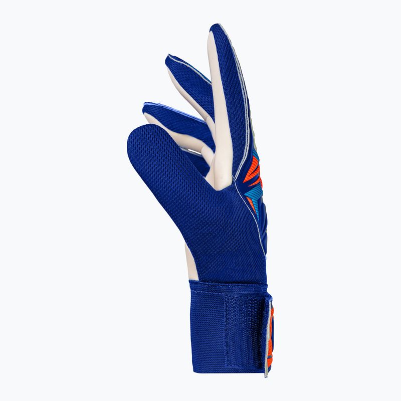 Dětské brankářské rukavice Reusch Attrakt Starter Solid Junior sharp blue/white/shocking orange 4