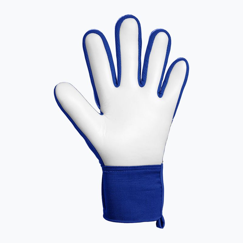Brankářské rukavice Reusch Attrakt Starter Solid sharp blue/white/shocking orange 3