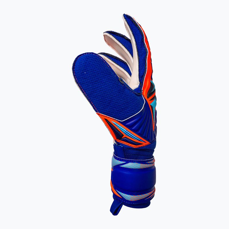 Brankářské rukavice Reusch Attrakt Solid sharp blue/shocking orange 4