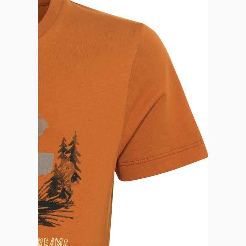 Dětské tričko Jack Wolfskin Graphic Cotton T print soft amber 9