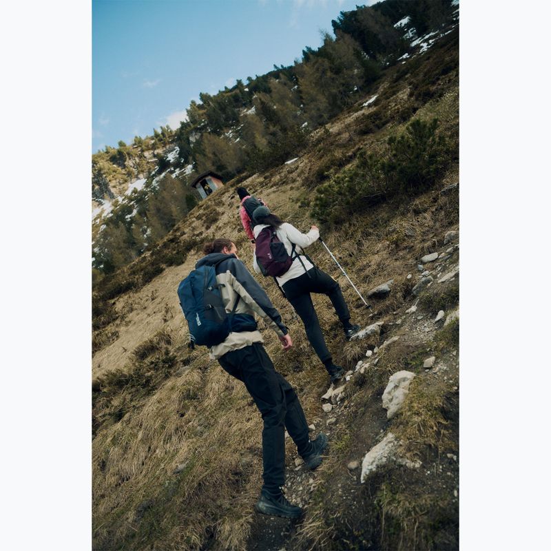 Pánské turistické boty Jack Wolfskin Wild Hike Texapore Mid black 14