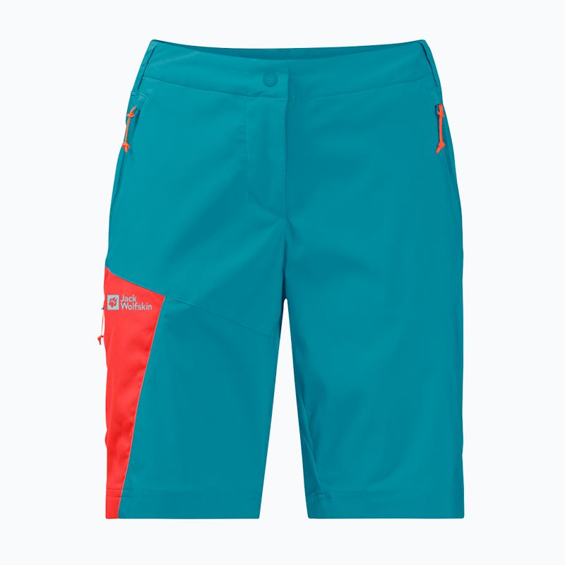 Pánské trekingové kraťasy Jack Wolfskin Glastal modré 1508171 4