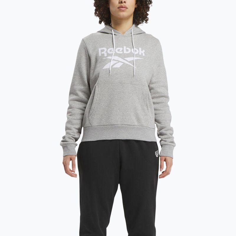 Dámská mikina Reebok Identity Big Logo Fleece medium grey heather