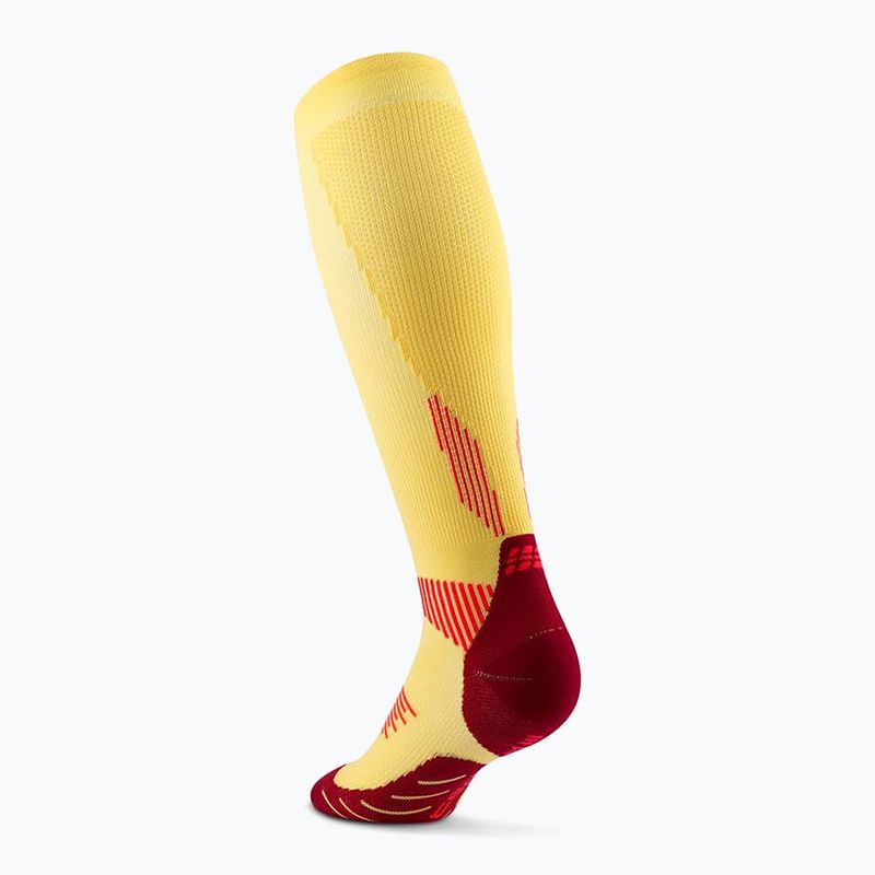 Pánské kompresní ponožky CEP Run Tall 5.0 marigold/burgundy 3