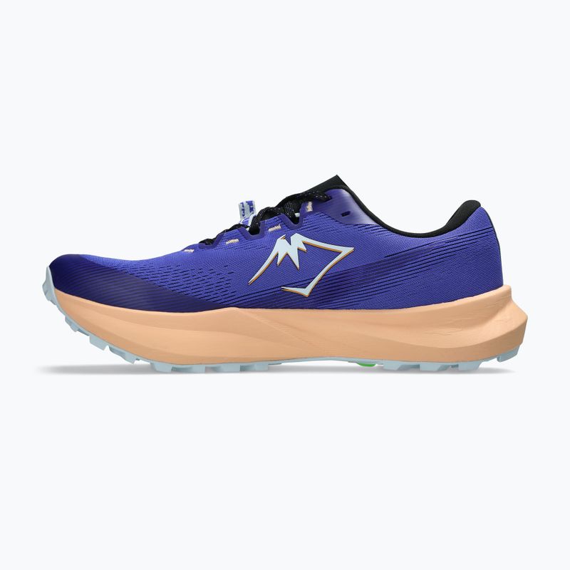 Pánské běžecké boty ASICS Fuji Lite 6 cobalt burst/cool grey 9