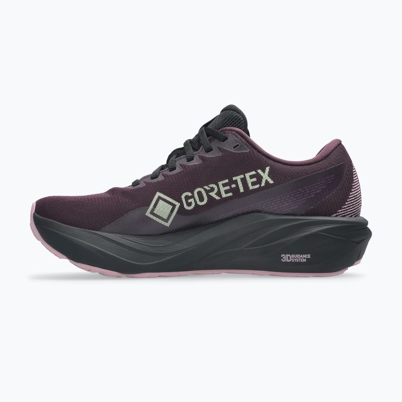 Dámské běžecké boty ASICS GT-2000 15 GTX tmavě auberginové/černé 2