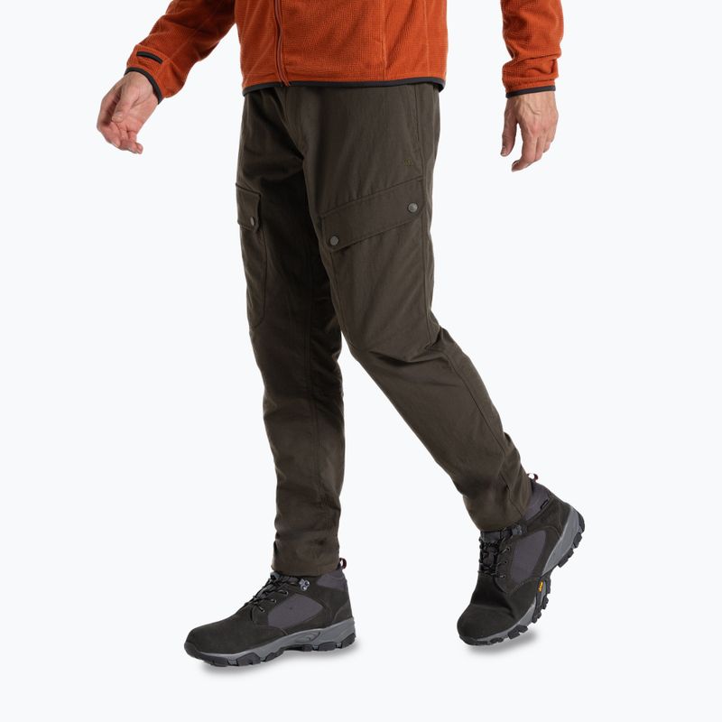Pánské trekové kalhoty Craghoppers NosiLife Adventure III woodland green 4