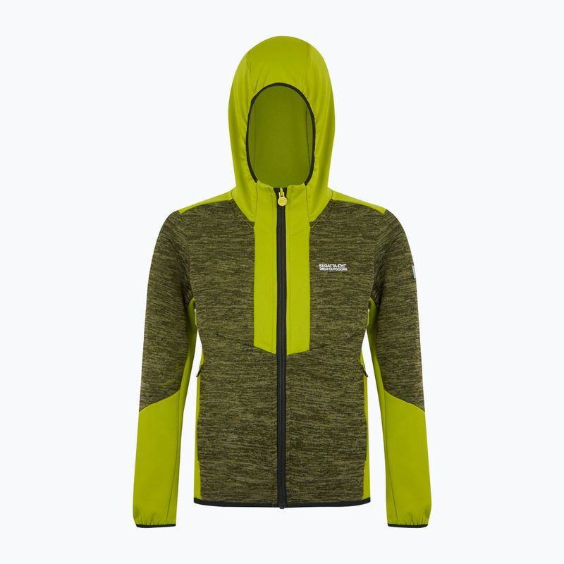 Dětská fleecová mikinaREGATTA Dissolver X nephrite green/grenoble green/black 6