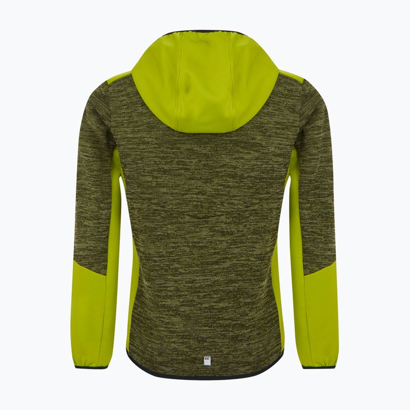 Dětská fleecová mikinaREGATTA Dissolver X nephrite green/grenoble green/black 7