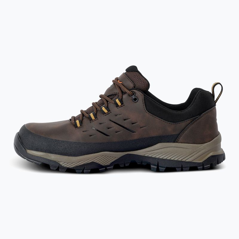 Pánské trekingové boty REGATTA Blake Low peat/wood 10